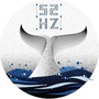 调频52HZ