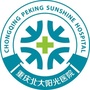 有史有料plus