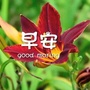 美妆护肤指南
