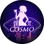 视觉COSMO