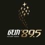 成功895