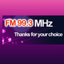 FM993荆门交通音乐频率