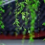 全球科技动态