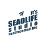 人生海海seaolife