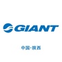 giantsx