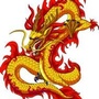 股龍探研