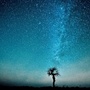 悦夜