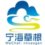 宁海草根