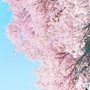 雕光片影