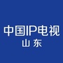 中国IP电视山东