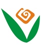 成都市鼓楼小学