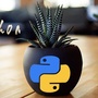 Python热爱者