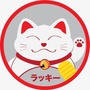 7频道的秘密仓库
