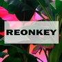 Reonkey酱