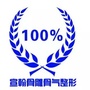宣翰骨雕骨气塑形