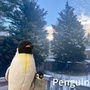 Penguin之音