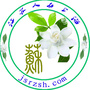 江苏人在上海