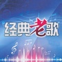江门那些事儿