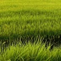 学英语闯天下