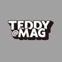 TEDDY MAG 流行麦克