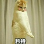 表情包and情侣套路