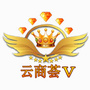 云商荟V