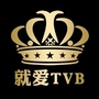 就爱TVB