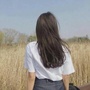 每日八笑
