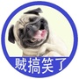 贼搞笑了