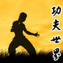 功夫世界