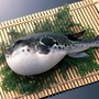 奇趣资讯社