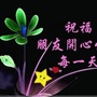 天天送最美祝福