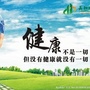 杨帆无限极居家创业