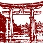 开车大婶婶
