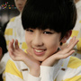 TF家族黄其淋