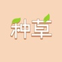 每晚种草