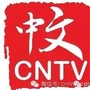 cntv