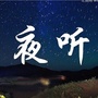 每天九点夜听