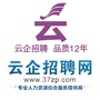 云企招聘网