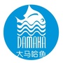 大马哈鱼艺术培训