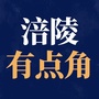 涪陵网事