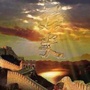 历史课程号