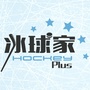 冰球家