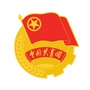 阜阳共青团