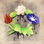 塔西的后花园