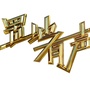 大连置地有声