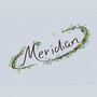 Meridian子午线