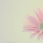 情感时间九点