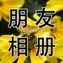 朋友音乐相册