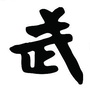 武林风搏击散打交流